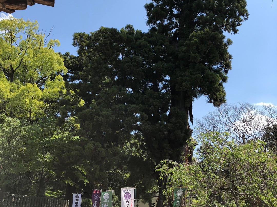 Gama Rock-筑波市必去景点