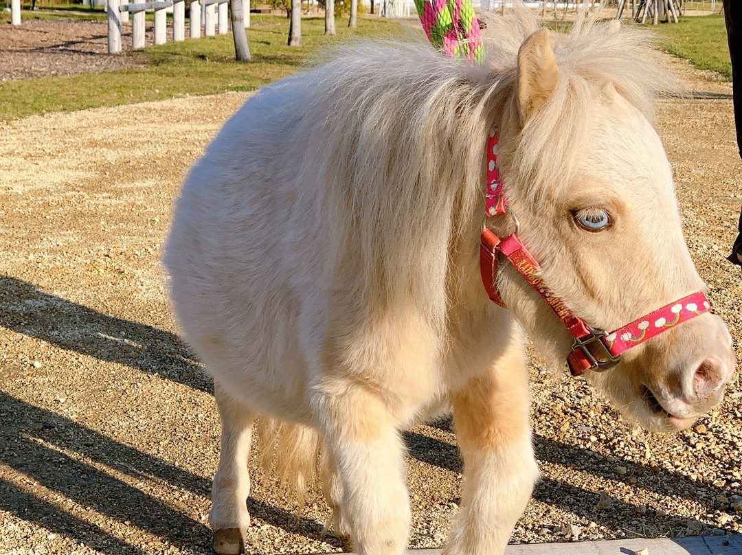 Natural Skincare Garden Nachu no Mori-白老町必去景点