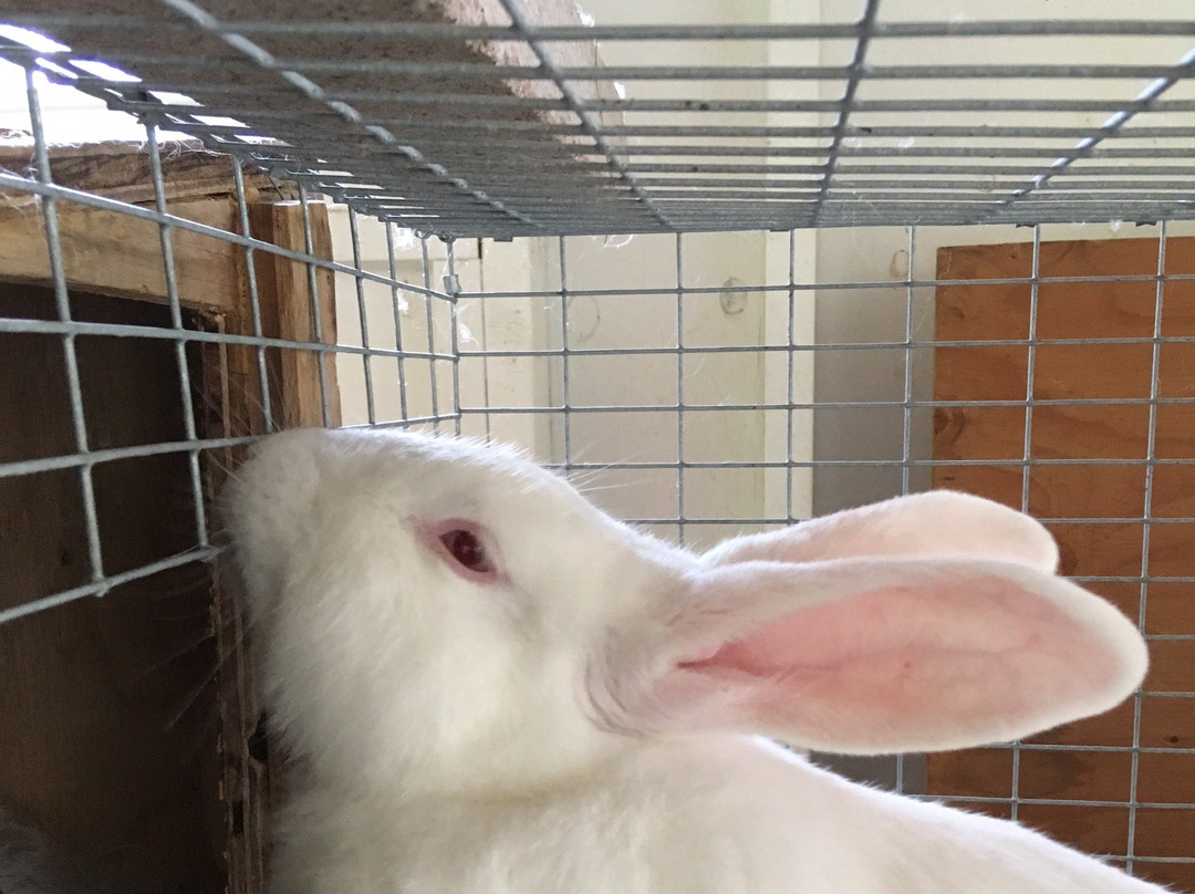 The Benedictine Monks ofWeston Priory-Weston必去景点