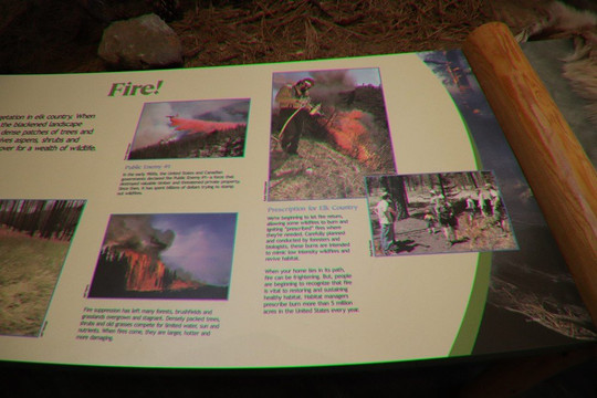 Rocky Mountain Elk Foundation-米苏拉必去景点