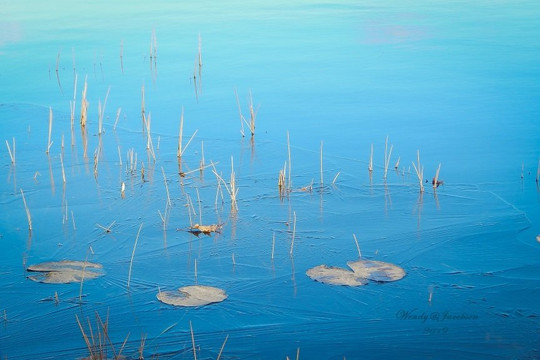 Pillsbury State Forest-Pillager必去景点