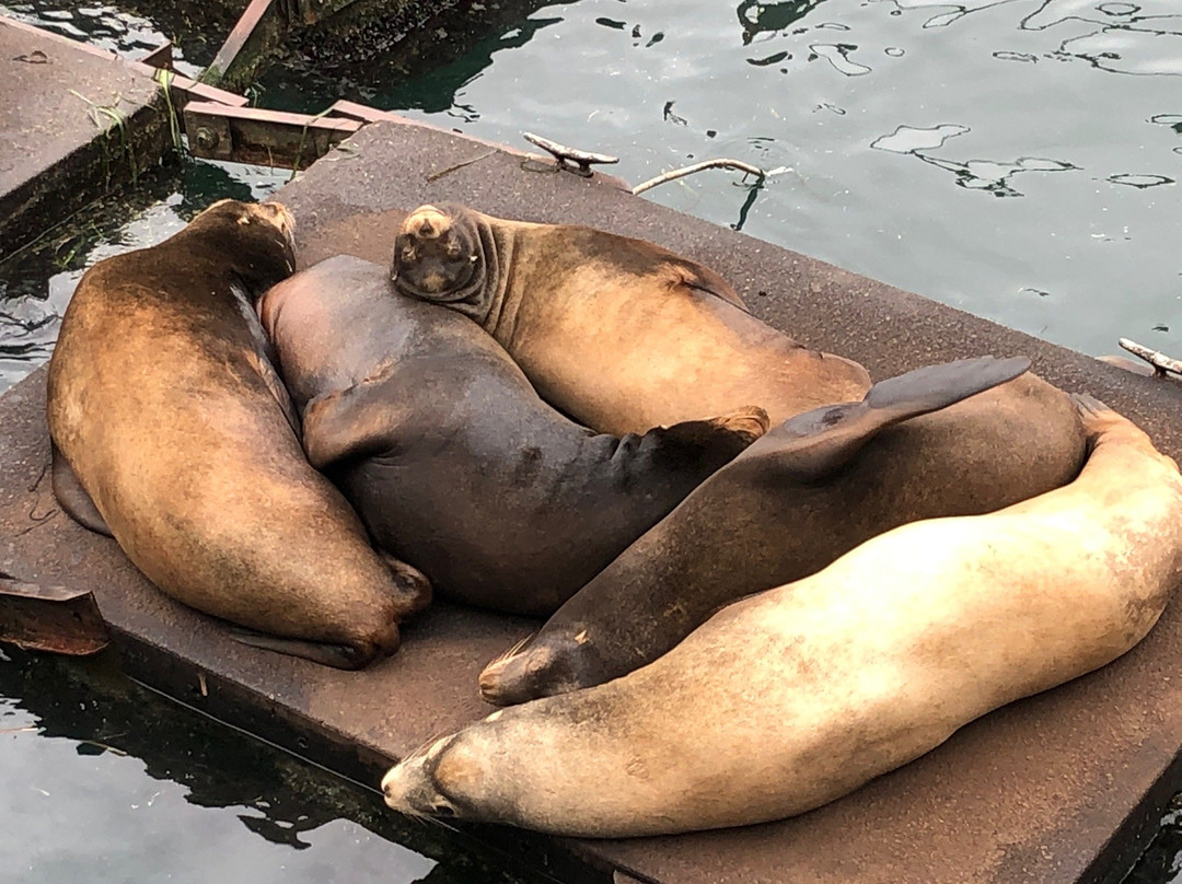 Newport's Historic Bayfront-纽波特必去景点
