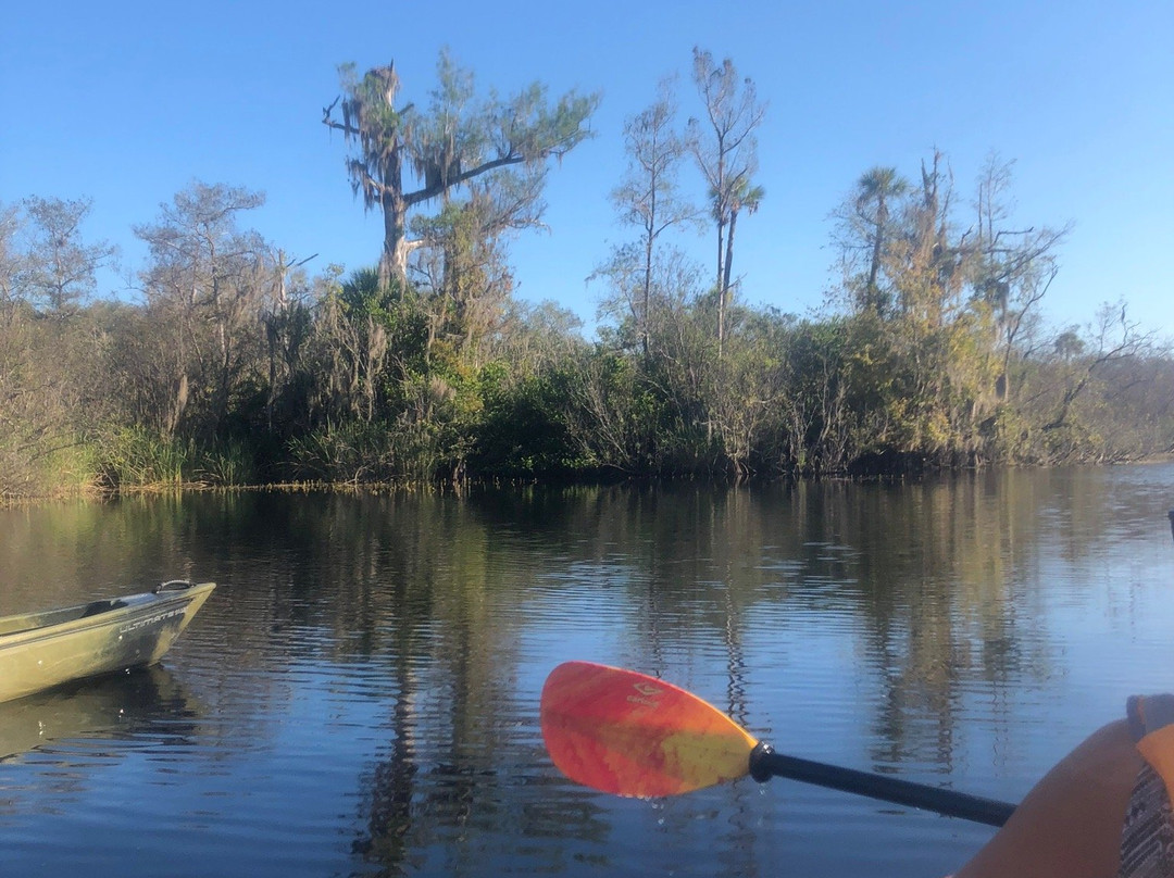 Shurr Adventures Everglades景点图片