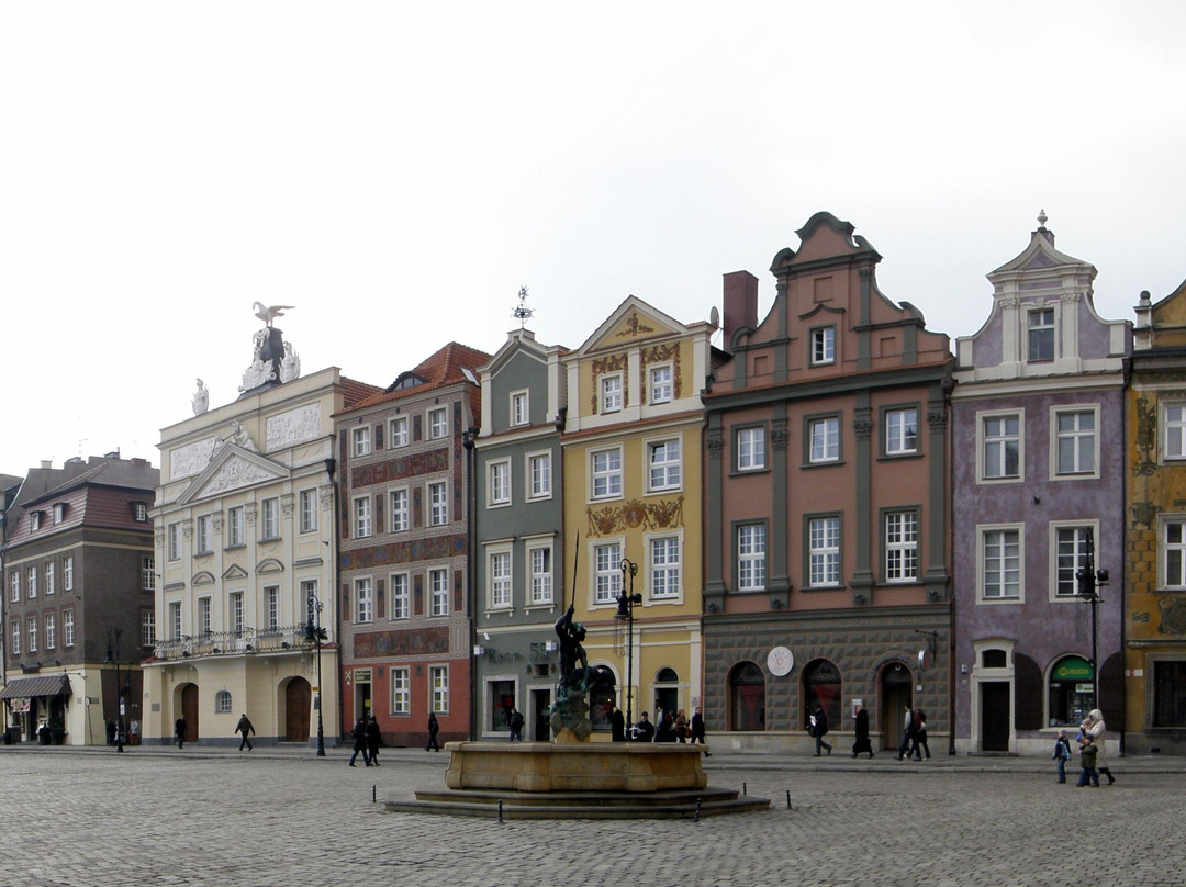 Explore Poznan - things to do in Poznan景点图片