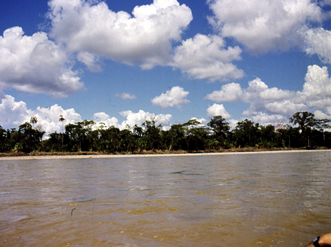 Napo River景点图片
