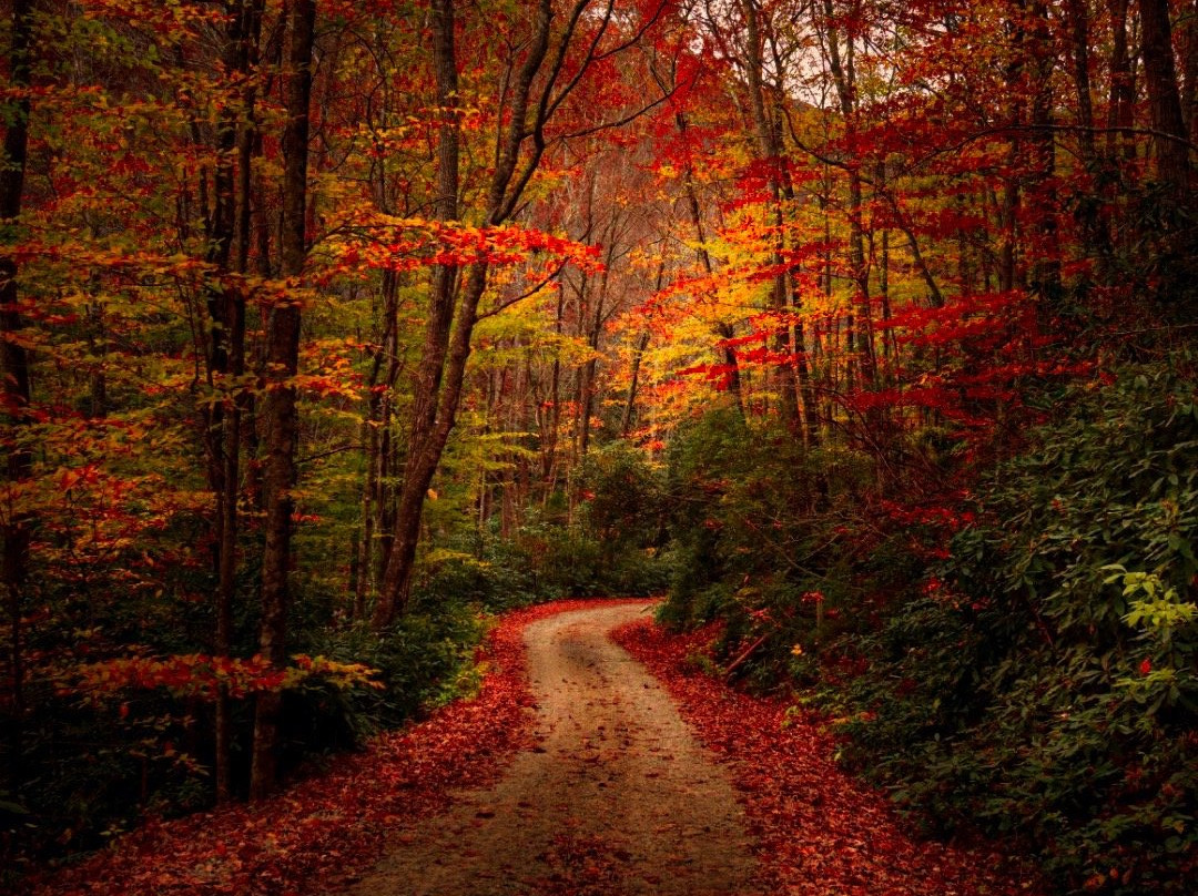 WNC Photo Tours景点图片