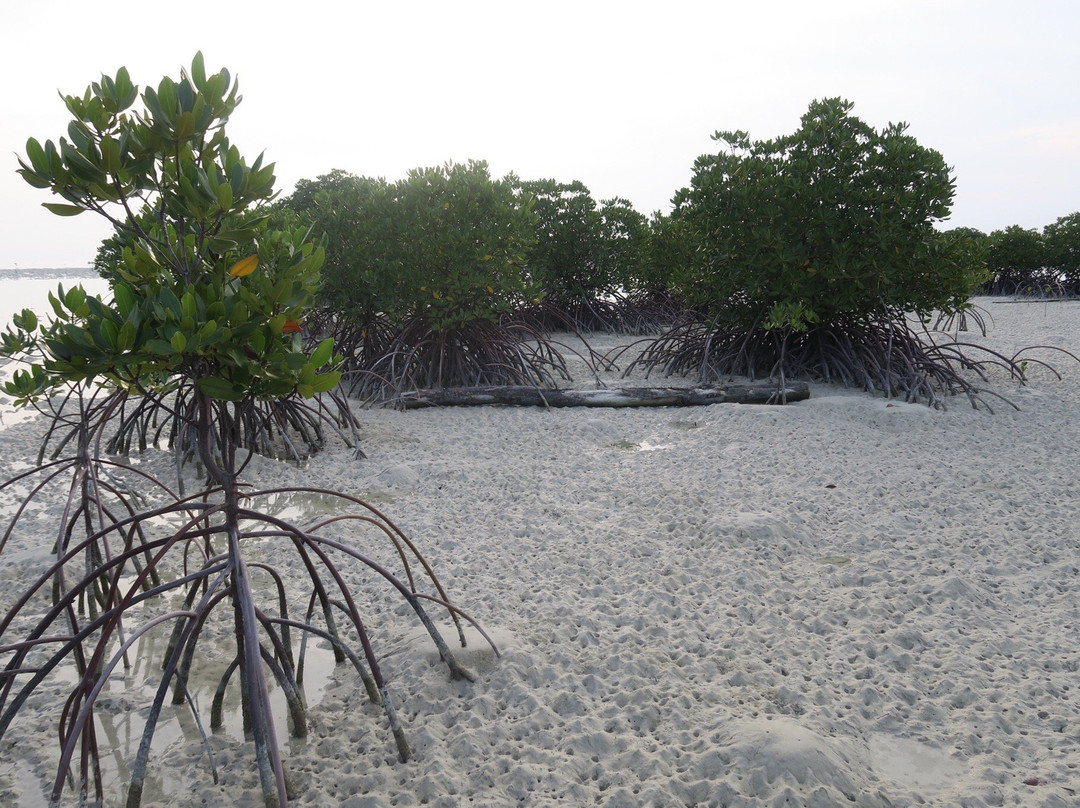 Satu Dunia Tours and Travel-日惹必去景点