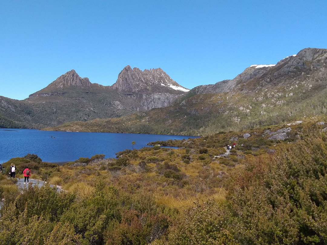 McDermott's Coaches-摇篮山圣克莱尔湖国家公园必去景点