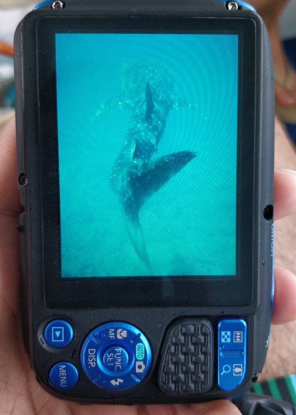 Arriva-马累必去景点