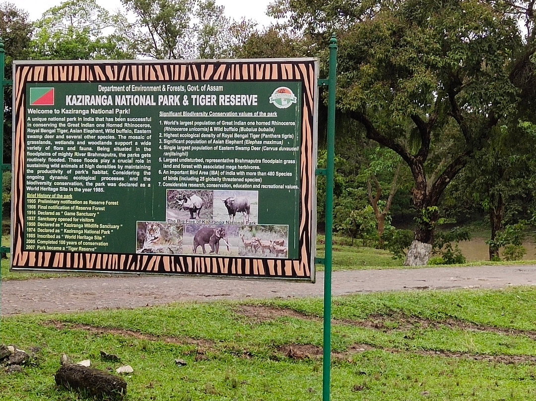 Kaziranga National Park景点图片