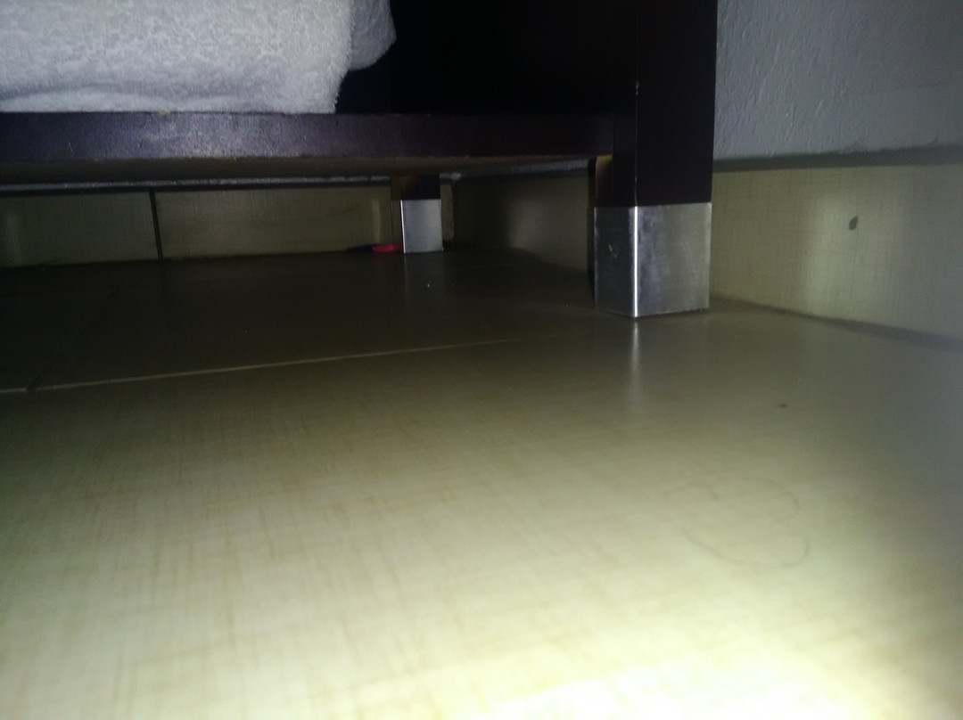 Comfort Inn Alton near I-255主图