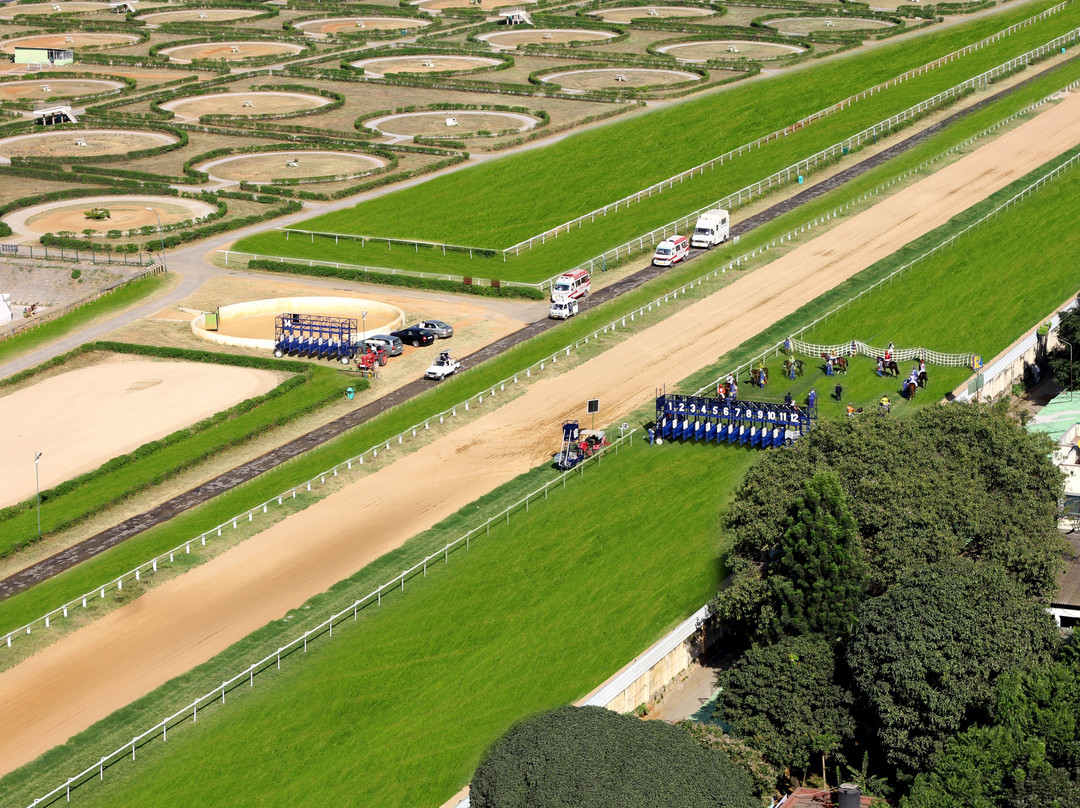 Holiday Inn Bengaluru Racecourse by IHG主图