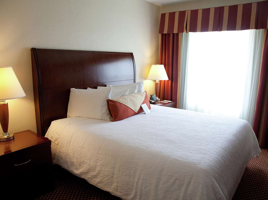 Hilton Garden Inn Tampa/Riverview/Brandon主图