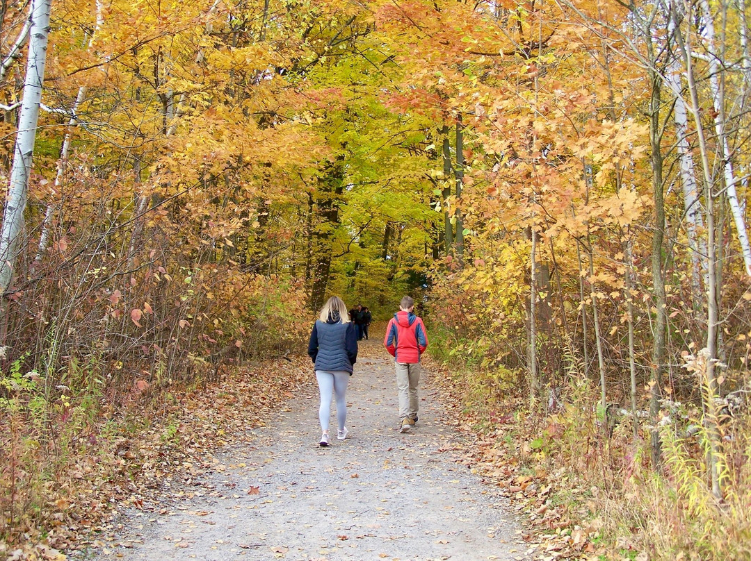 Mount Nemo Conservation Area-伯灵顿必去景点