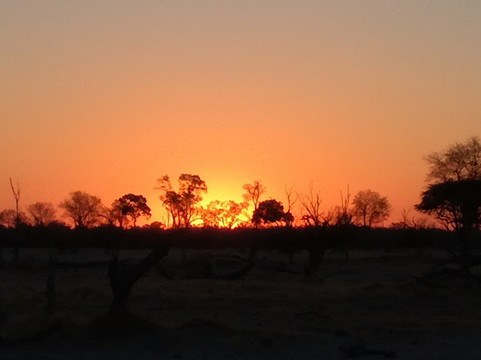 Magotho Camp (Khwai Development Trust)主图