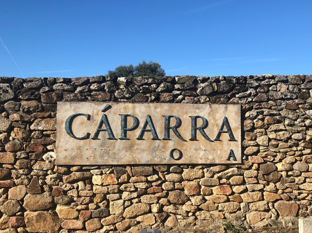 Ciudad romana de Cáparra景点图片