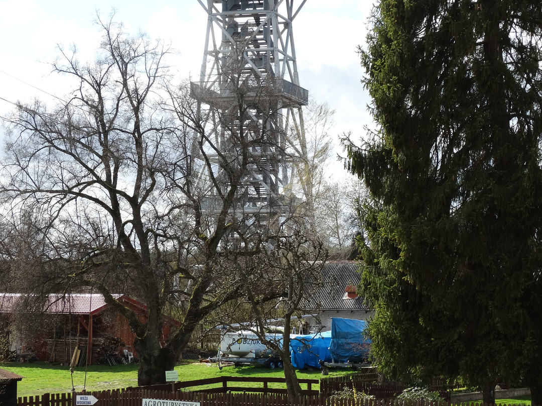 Muzeum - Kaszubski Park Etnograficzny im. Teodory i Izydora Gulgowskich we Wdzydzach景点图片