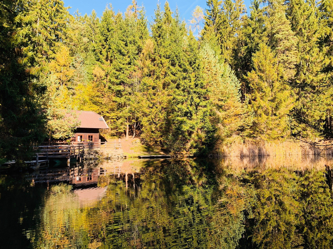Aussichtsplattform Waldbühne auf der Luschan Höhe景点图片