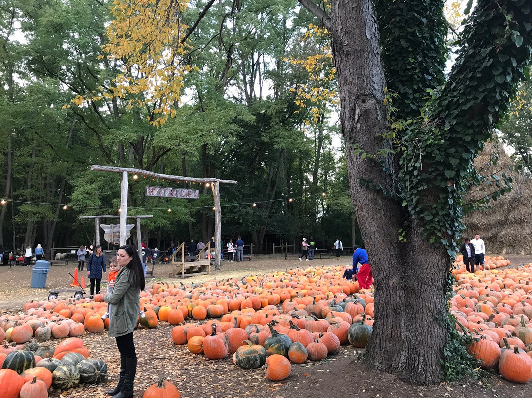Powers Farm Market-Pittsford必去景点