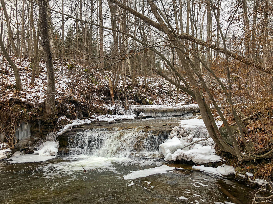 Silver Creek Conservation Area景点图片