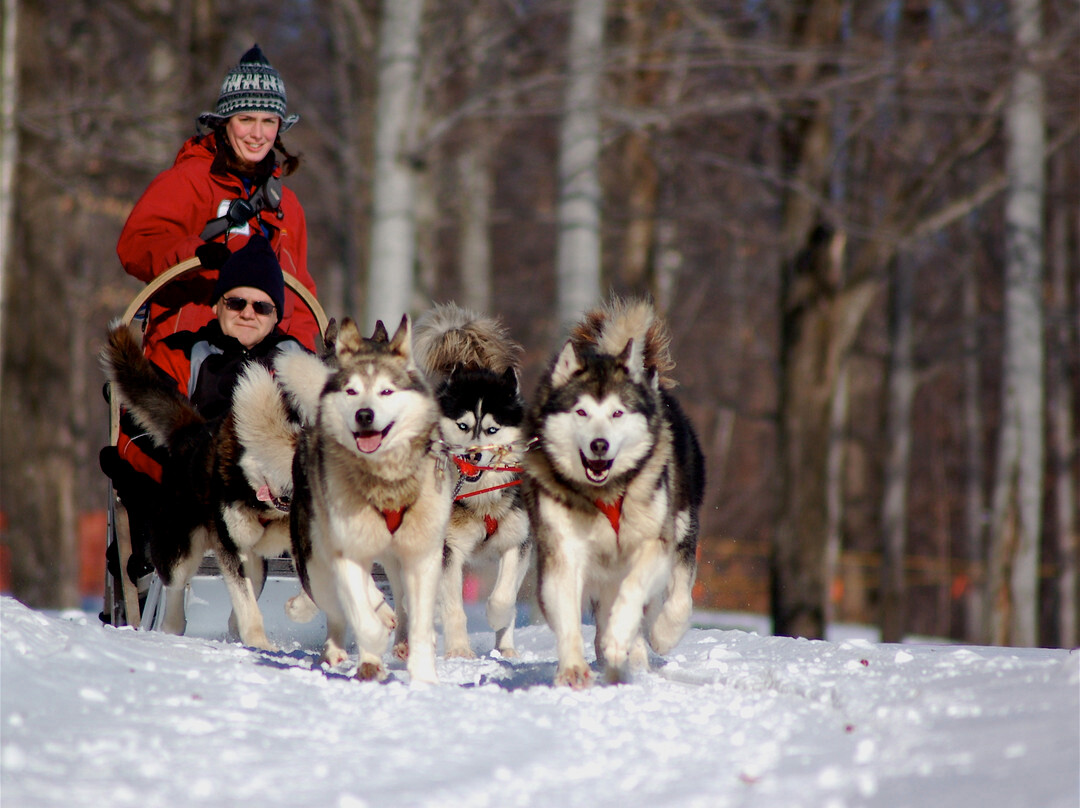 Secrets Nordiques Day Tours
