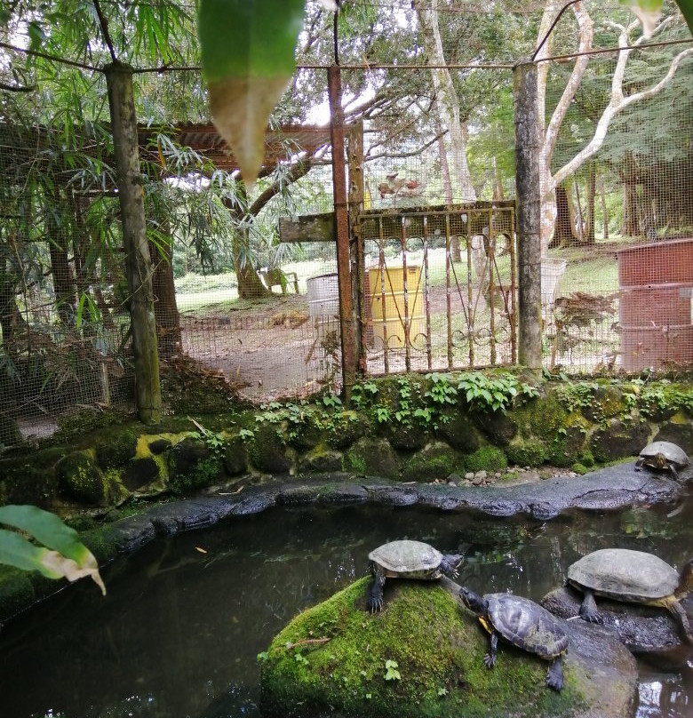 El Nispero Zoo and Botanical Garden景点图片