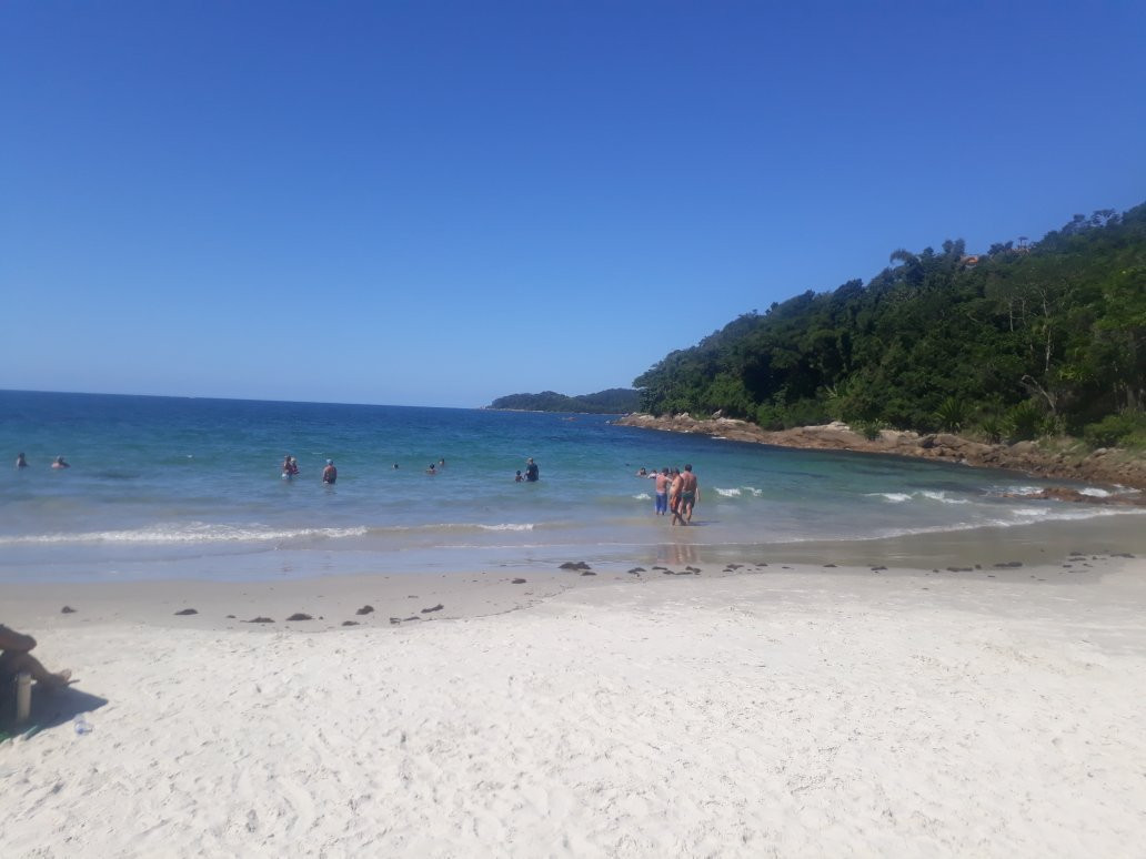 Bombinhas Beach景点图片
