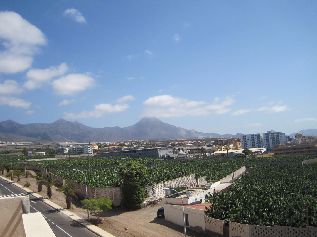 Relax on Rooftop