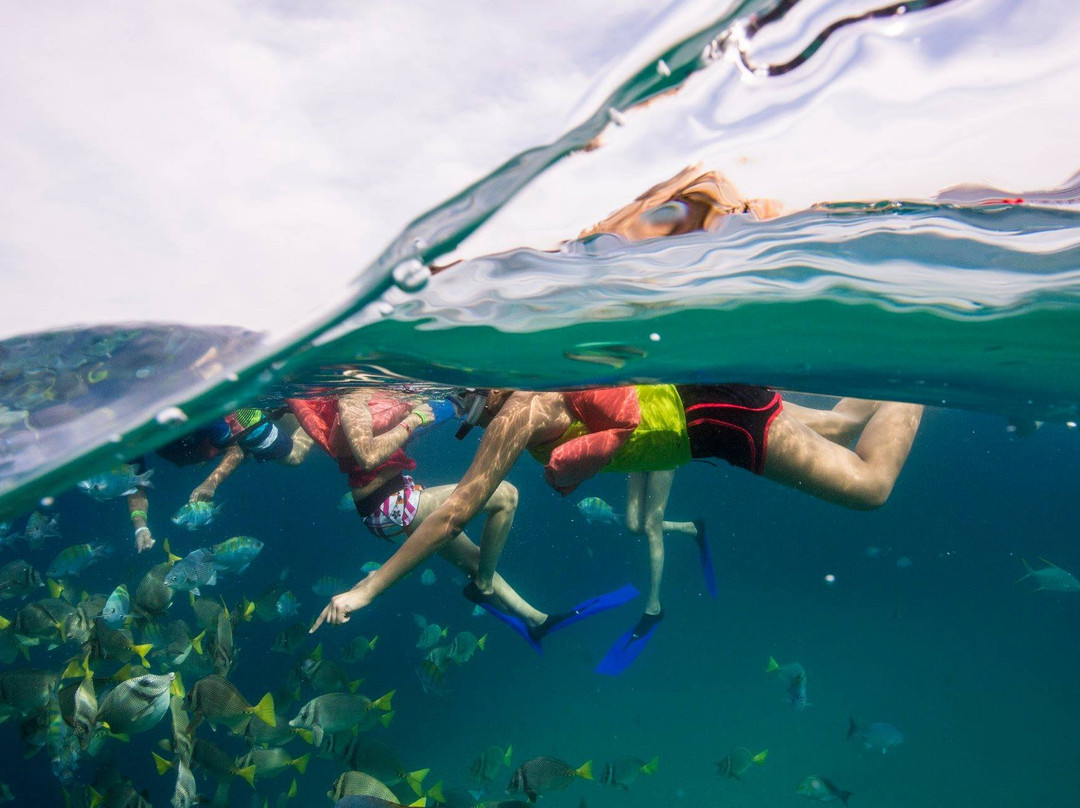 Esperanza's Tours-卡波圣卢卡斯必去景点