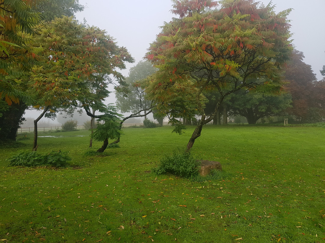 The Danny Cracknell Pocket Park-Ringwood必去景点