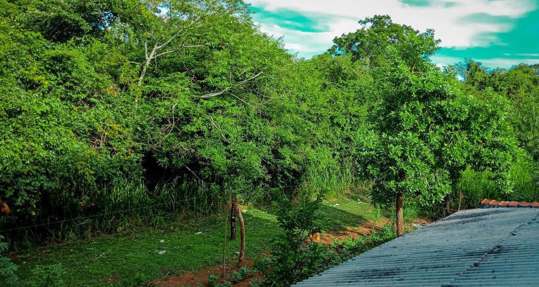 Villa The Border主图