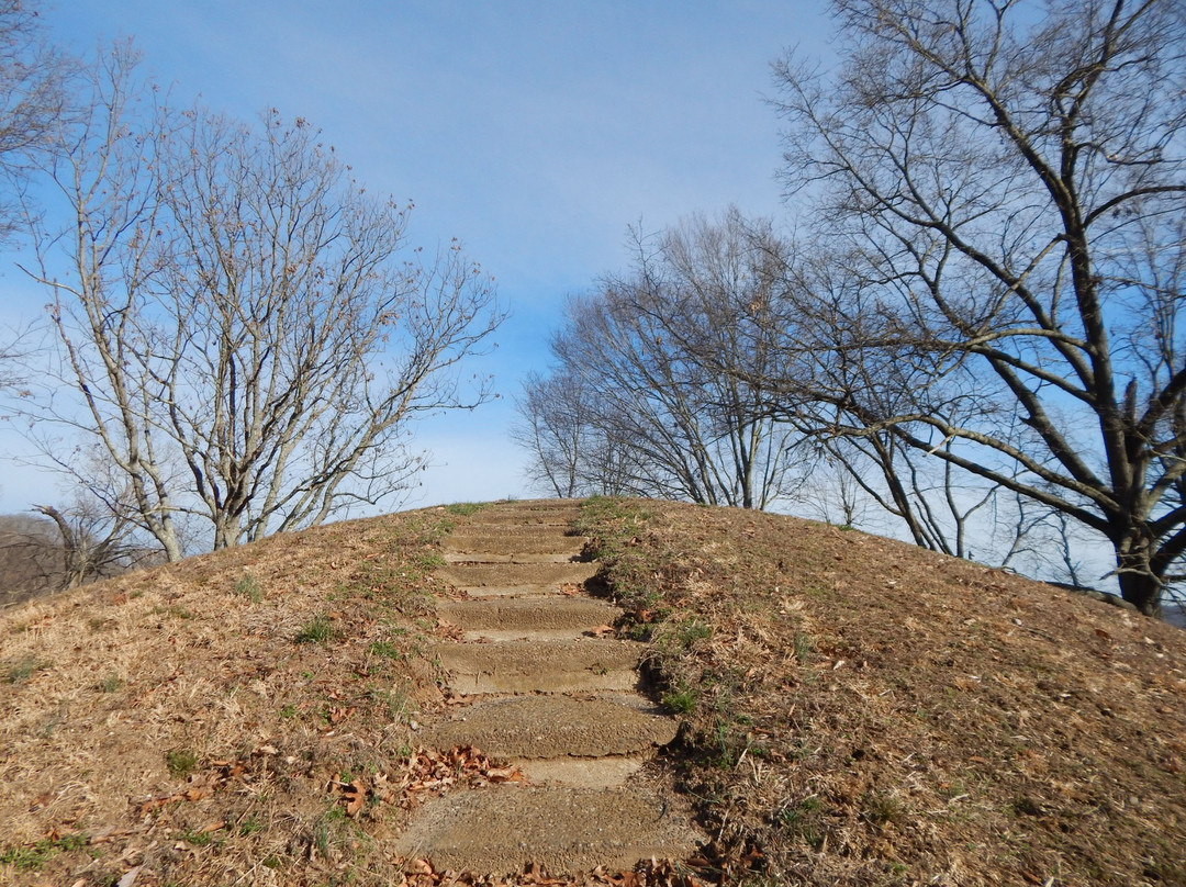 Chester旅游景点-Buffington Island Battlefield Memorial Park