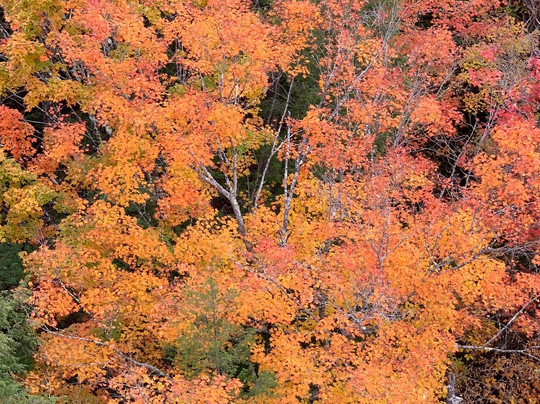 Quechee Balloon Rides, LC.-Quechee必去景点