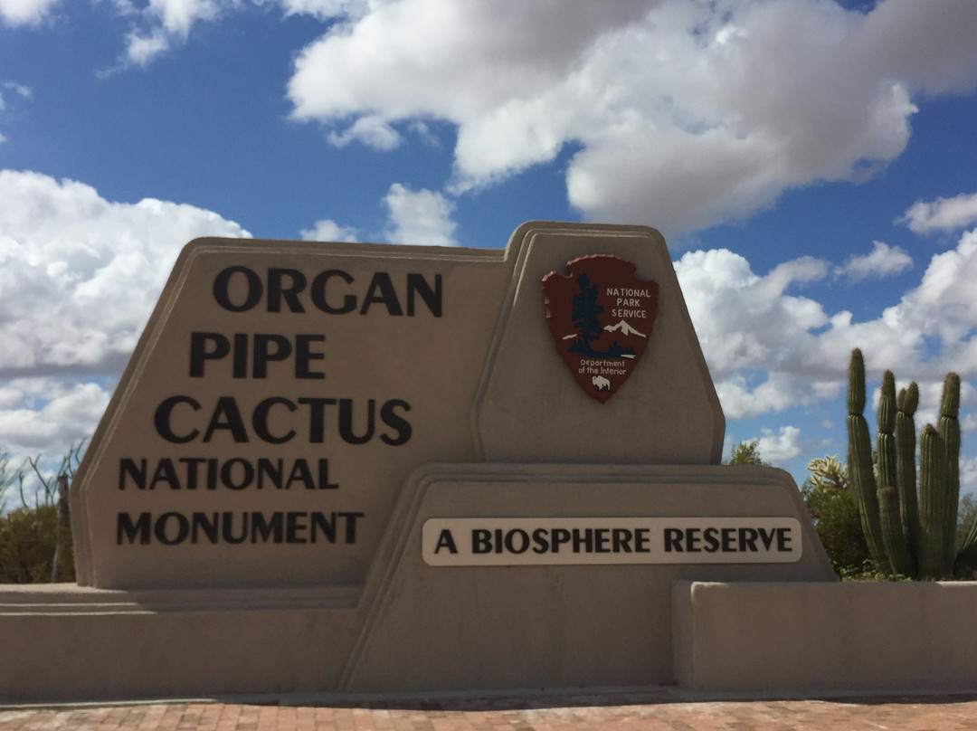 Organ Pipe Cactus National Monument景点图片