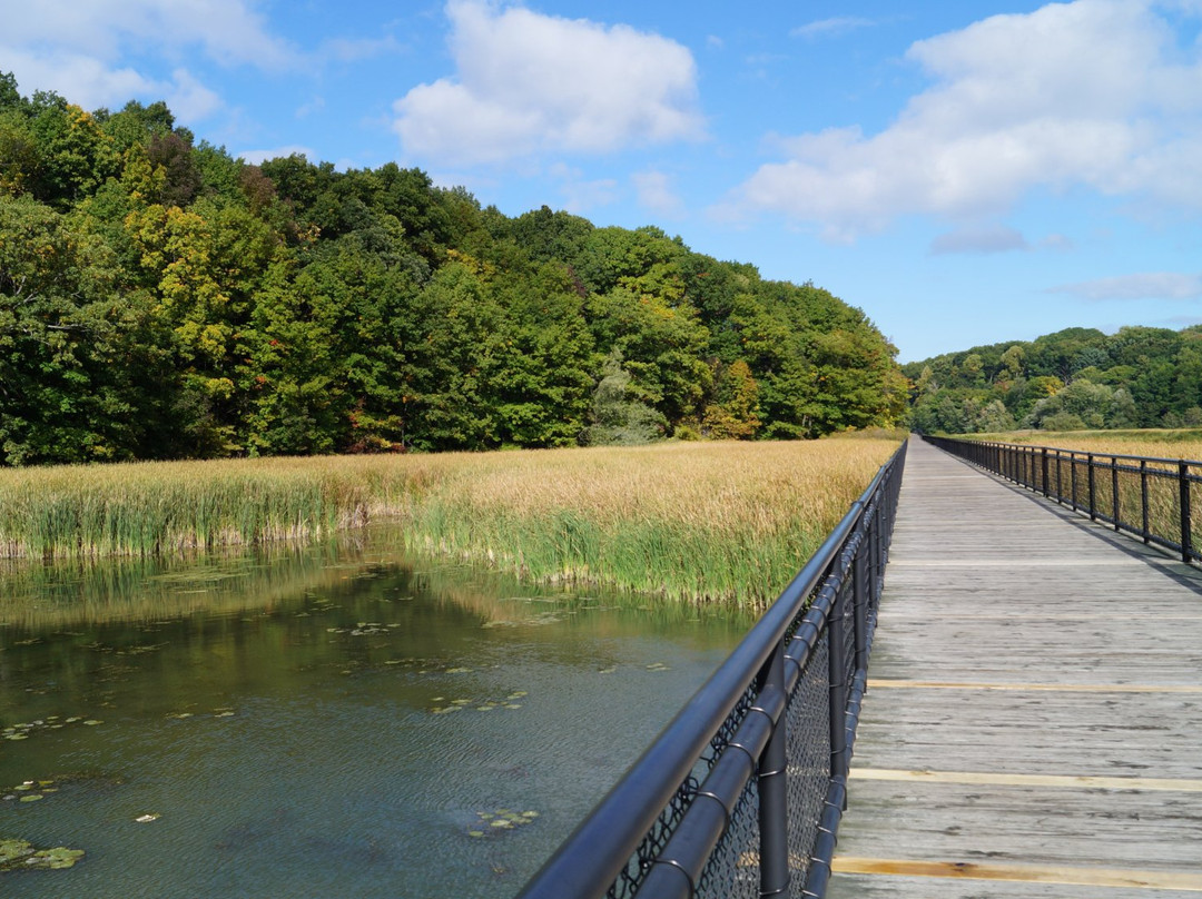 Genesee Riverway Trail景点图片