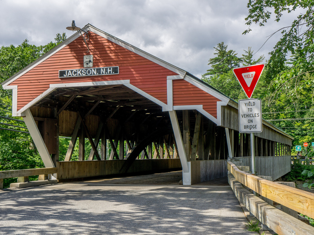杰克逊旅游景点-Honeymoon Bridge