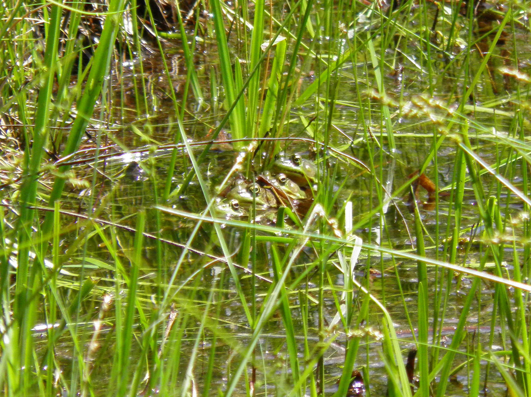 Whistle Stop Rail-Trail