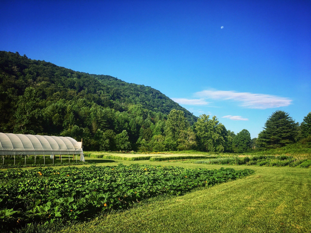 Timpson Creek Farm景点图片
