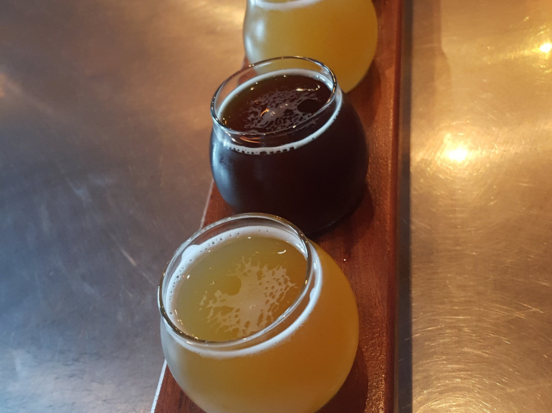 Stubborn Beauty Brewing-米德尔敦必去景点