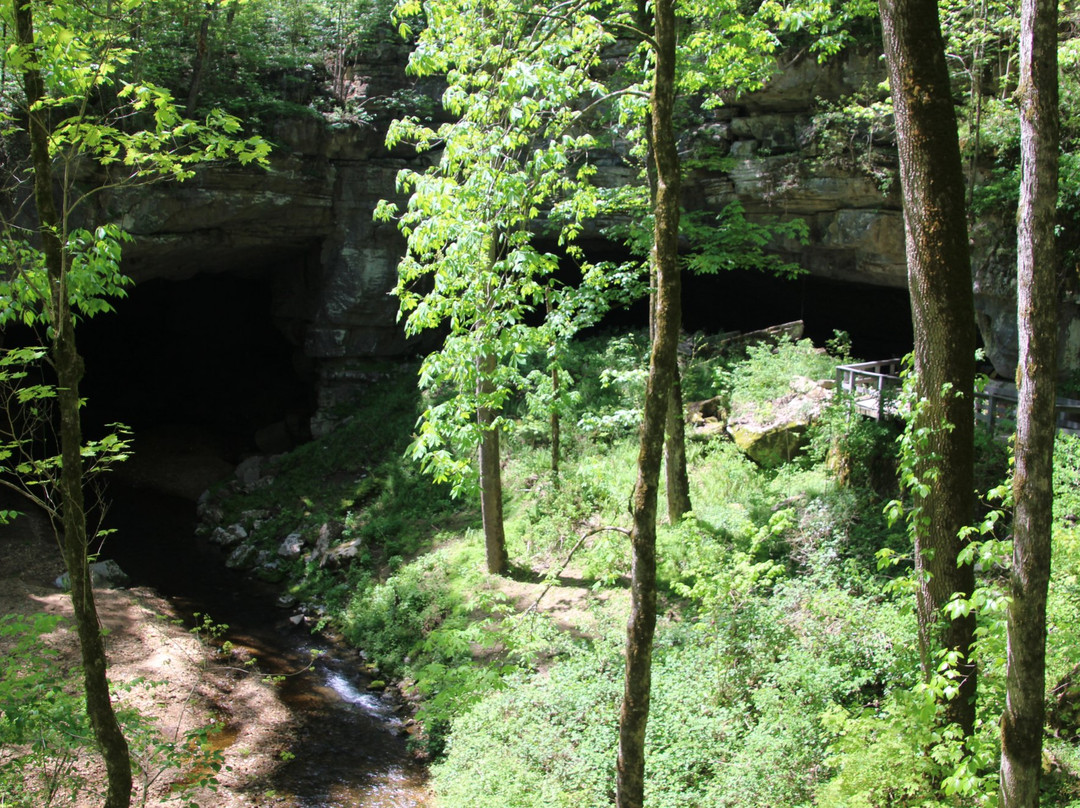 Russell Cave National Monument景点图片