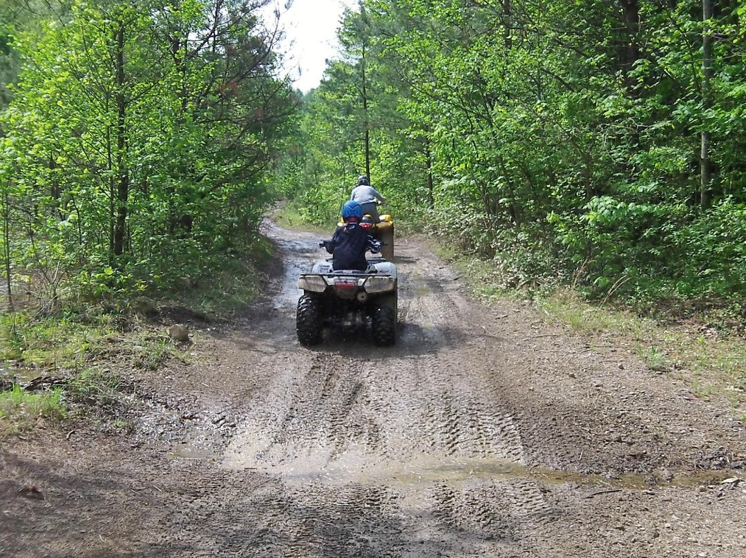 Hatfield & McCoy Trail-Julian必去景点