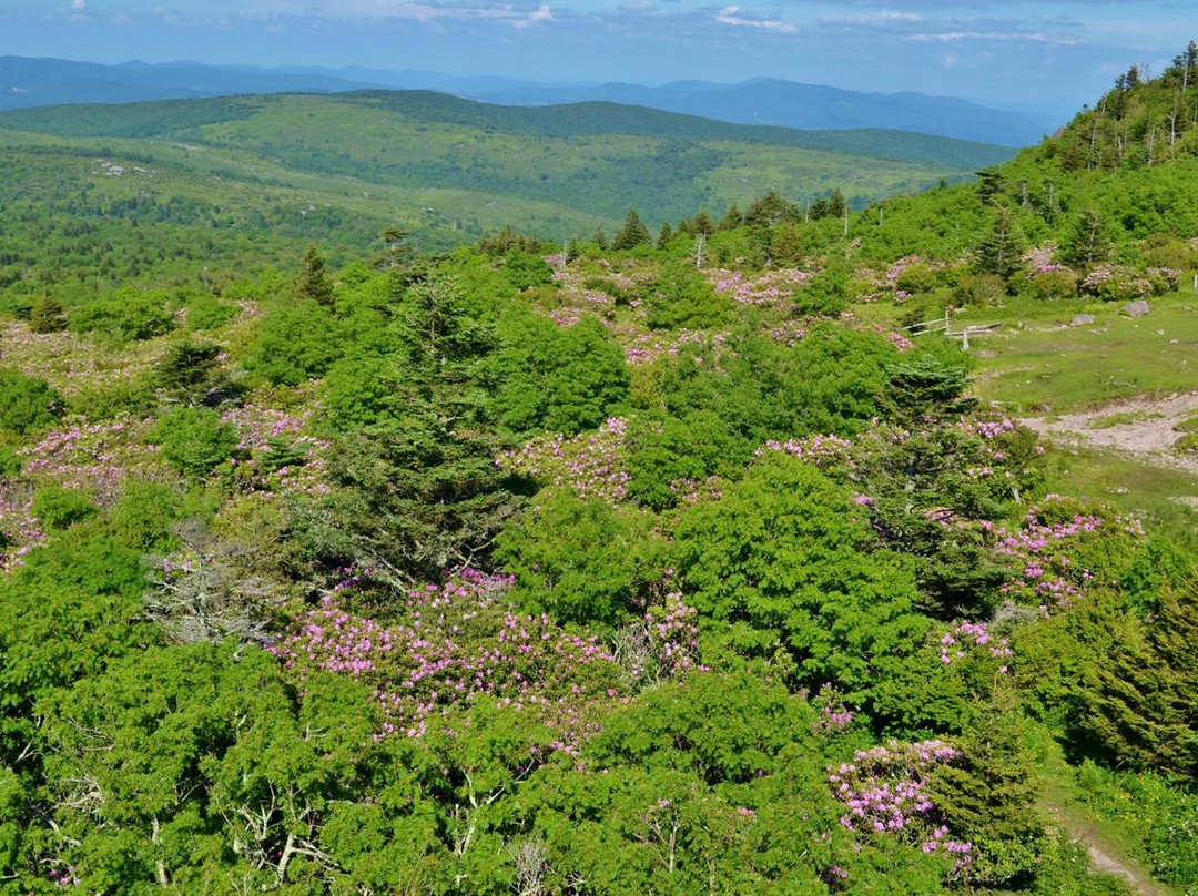 Marion旅游景点-Mount Rogers National Recreation Area