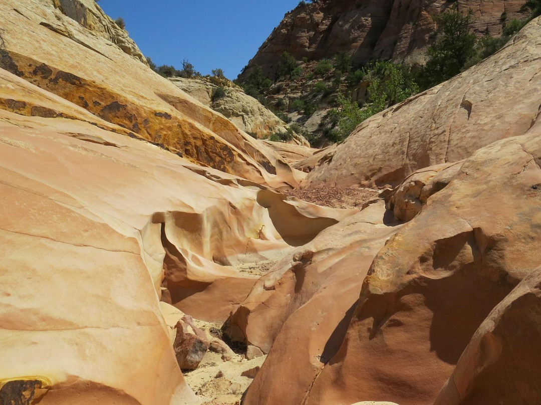 Big Horn Canyon景点图片