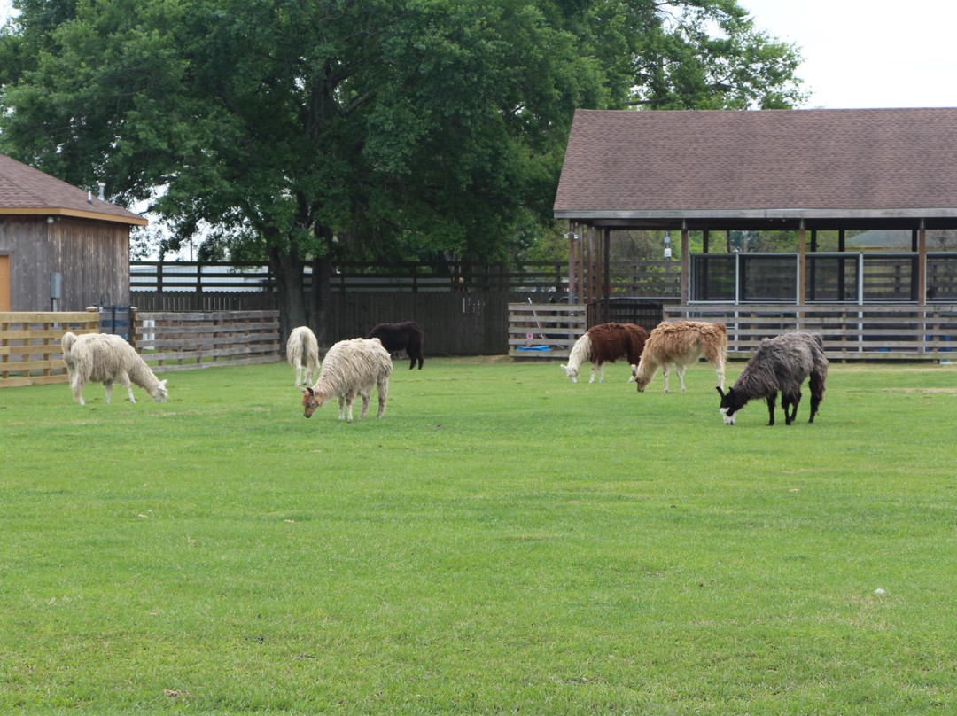 TGR Exotics Wildlife Park景点图片