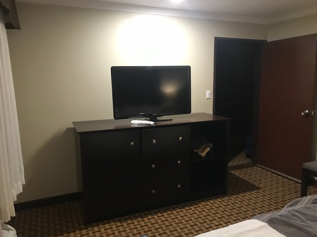 Best Western Plus Orchid Hotel & Suites主图