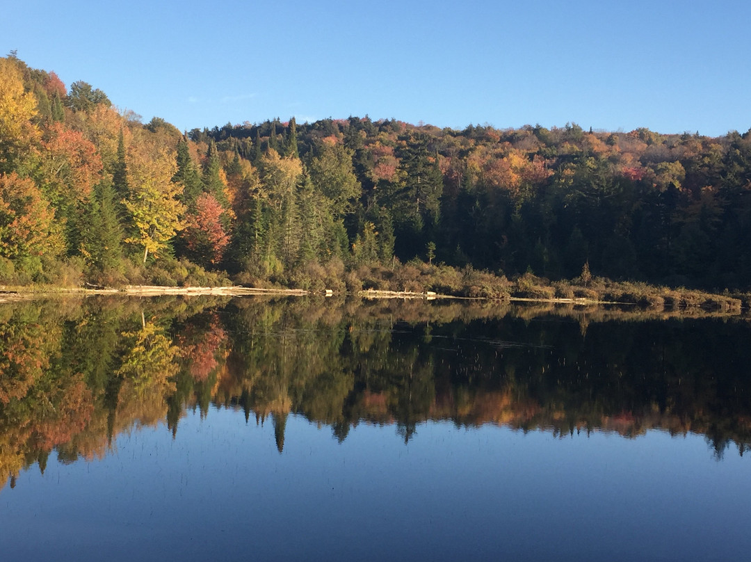 Centre Touristique et Educatif des Laurentides (CTEL)景点图片