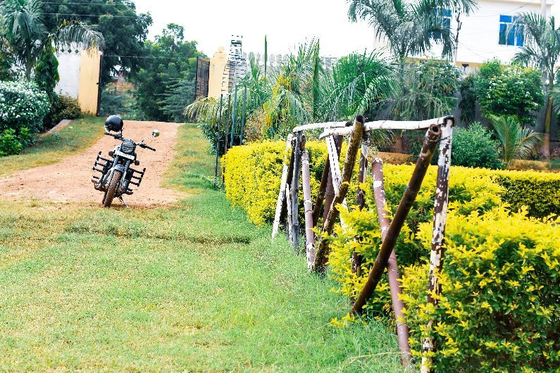 Ranthambhore Noor Bagh主图