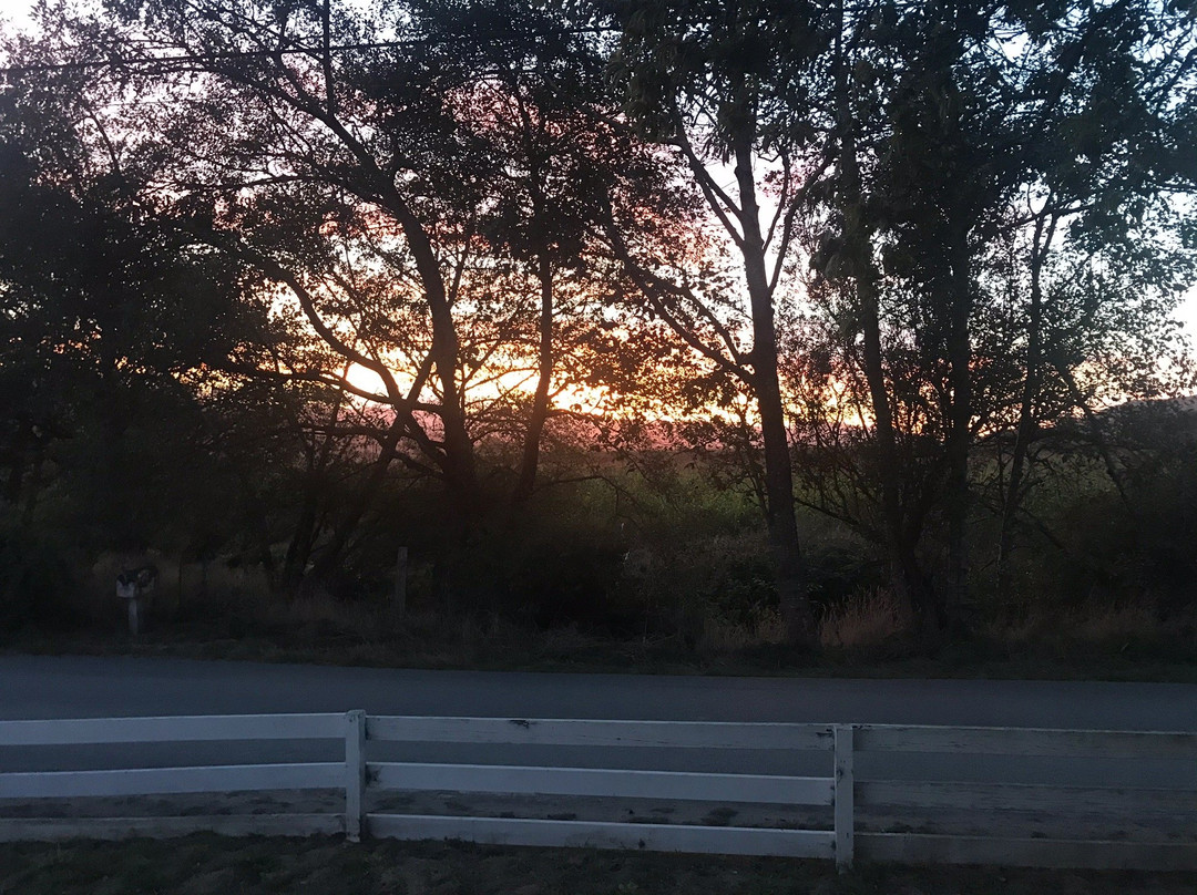 Riverbar Pharm Bed & Breakfast主图