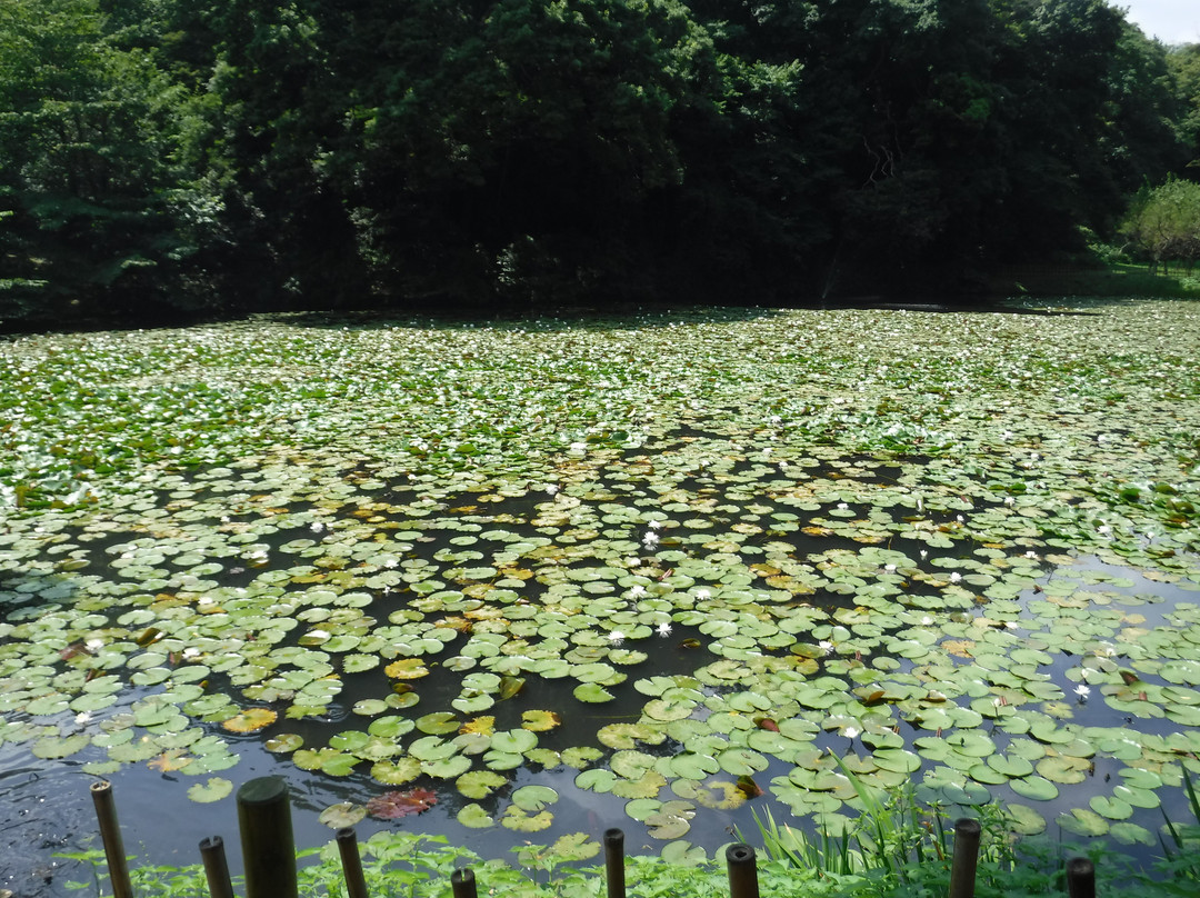 Imbanuma Bicycle Road-佐仓市必去景点