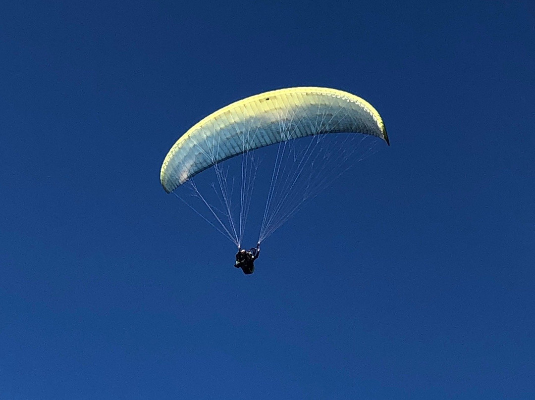 Paragliding Tandem Istra-Motovun必去景点